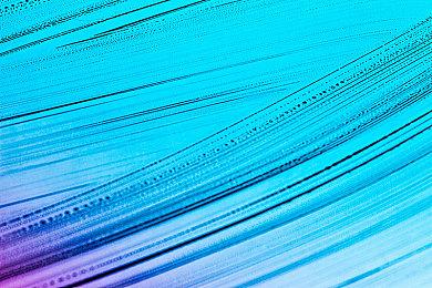 PS5版《血源重制版》新泄露截图是假的 粉丝很失望